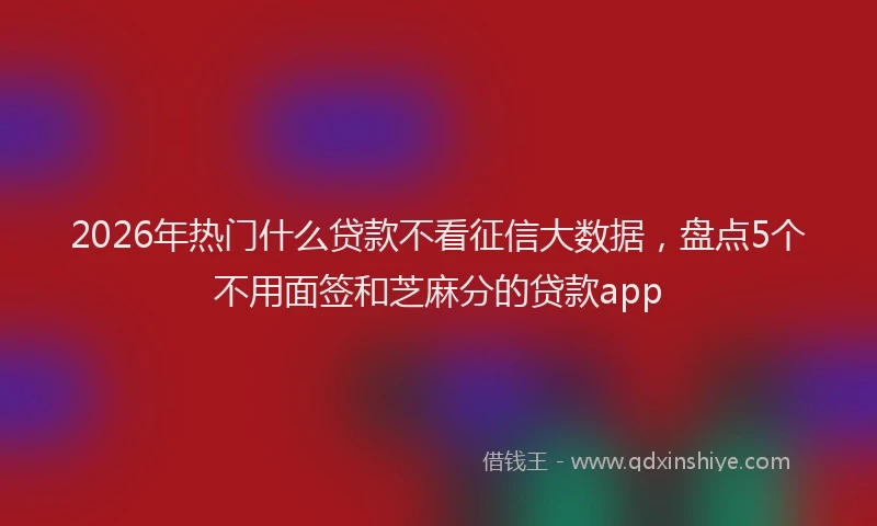 2026年热门什么贷款不看征信大数据，盘点5个不用面签和芝麻分的贷款app