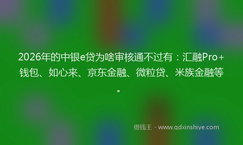 2026年的中银e贷为啥审核通不过有：汇融Pro+钱包、如心来、京东金融、微粒贷、米族金融等。