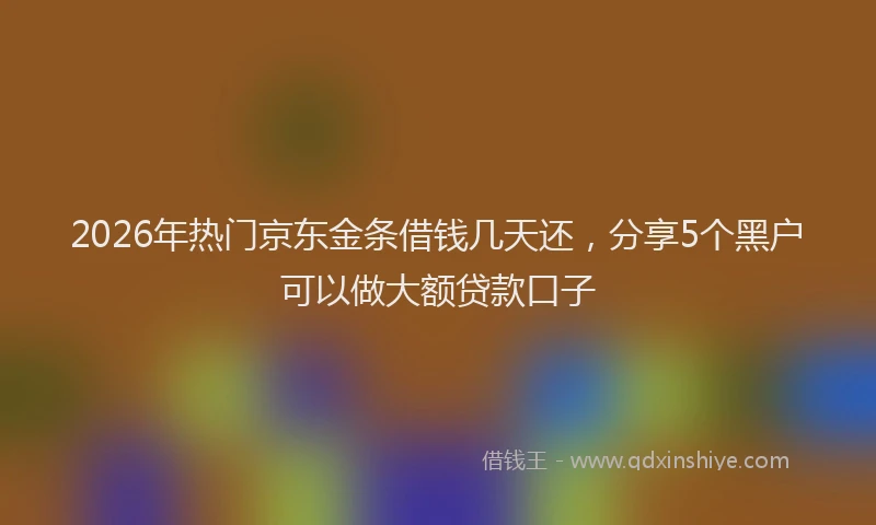 2026年热门京东金条借钱几天还，分享5个黑户可以做大额贷款口子