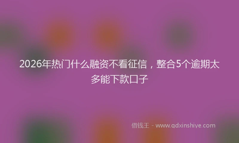 2026年热门什么融资不看征信，整合5个逾期太多能下款口子