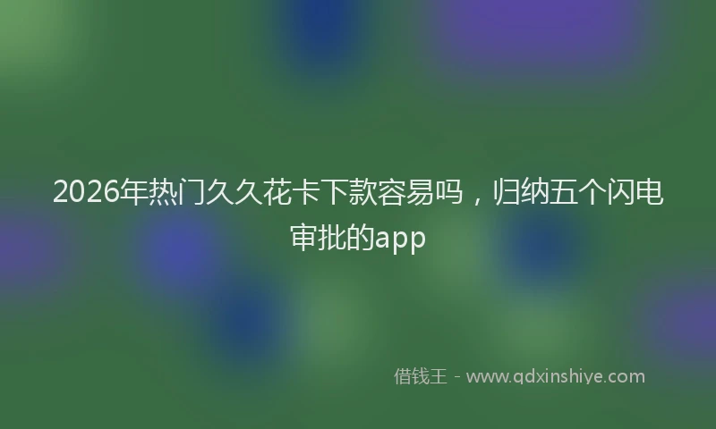 2026年热门久久花卡下款容易吗，归纳五个闪电审批的app