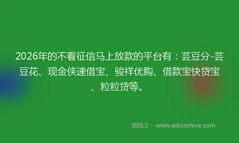 2026年的不看征信马上放款的平台有：芸豆分-芸豆花、现金侠速借宝、骏祥优购、借款宝快贷宝、粒粒贷等。