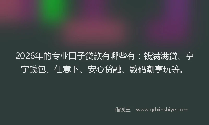 2026年的专业口子贷款有哪些有：钱满满贷、享宇钱包、任意下、安心贷融、数码潮享玩等。