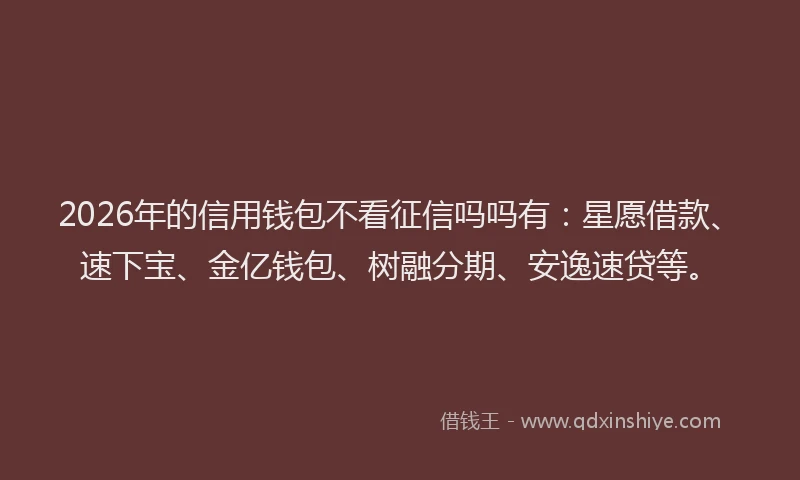 2026年的信用钱包不看征信吗吗有：星愿借款、速下宝、金亿钱包、树融分期、安逸速贷等。