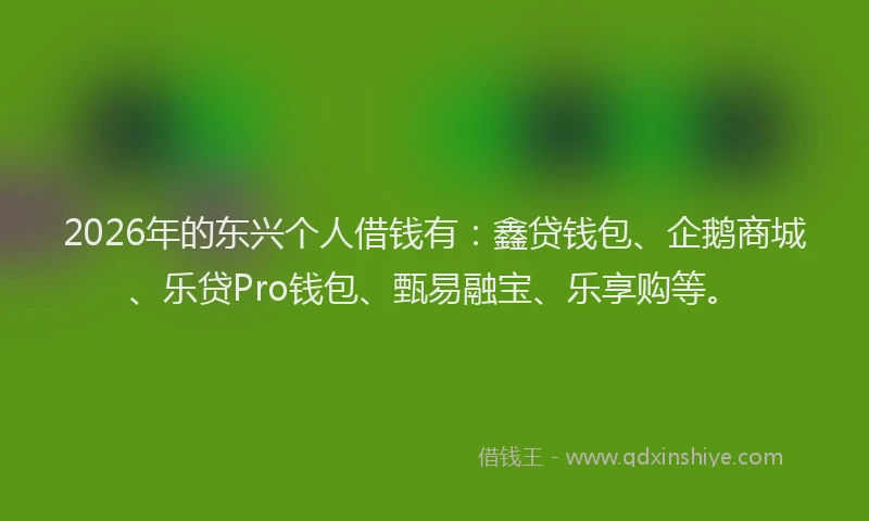 2026年的东兴个人借钱有：鑫贷钱包、企鹅商城、乐贷Pro钱包、甄易融宝、乐享购等。