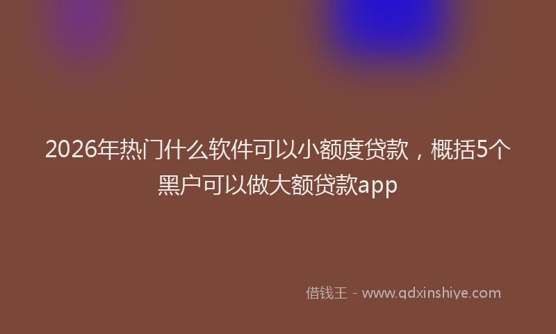 2026年热门什么软件可以小额度贷款，概括5个黑户可以做大额贷款app