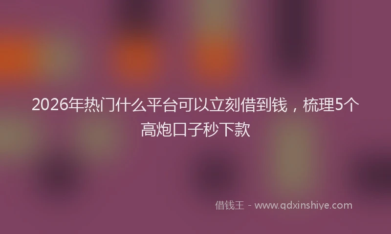 2026年热门什么平台可以立刻借到钱，梳理5个高炮口子秒下款