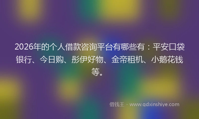 2026年的个人借款咨询平台有哪些有：平安口袋银行、今日购、彤伊好物、金帝租机、小鹅花钱等。