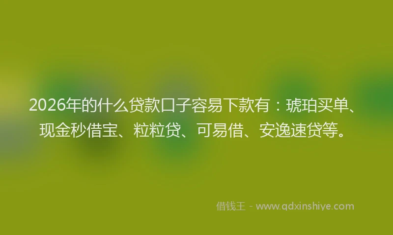 2026年的什么贷款口子容易下款有：琥珀买单、现金秒借宝、粒粒贷、可易借、安逸速贷等。