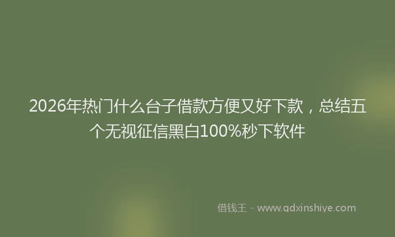 2026年热门什么台子借款方便又好下款，总结五个无视征信黑白100%秒下软件