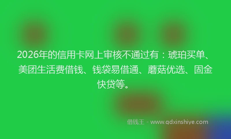 2026年的信用卡网上审核不通过有：琥珀买单、美团生活费借钱、钱袋易借通、蘑菇优选、固金快贷等。