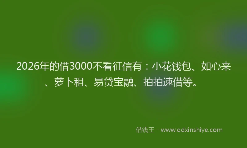 2026年的借3000不看征信有：小花钱包、如心来、萝卜租、易贷宝融、拍拍速借等。