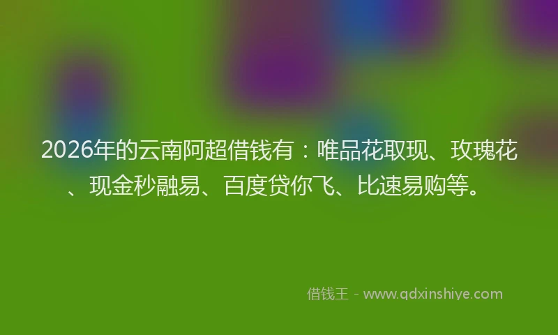 2026年的云南阿超借钱有：唯品花取现、玫瑰花、现金秒融易、百度贷你飞、比速易购等。