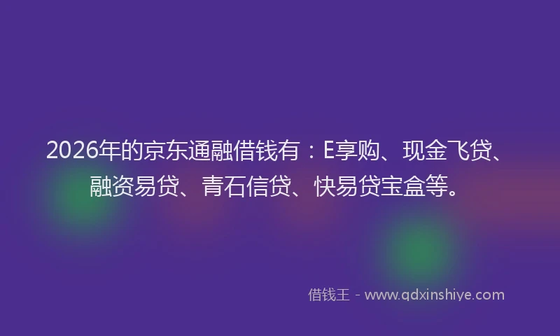 2026年的京东通融借钱有：E享购、现金飞贷、融资易贷、青石信贷、快易贷宝盒等。