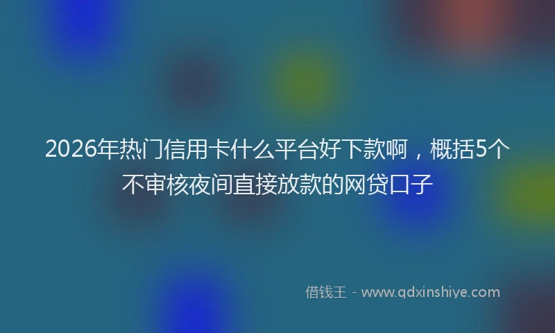 2026年热门信用卡什么平台好下款啊，概括5个不审核夜间直接放款的网贷口子