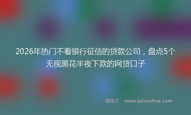 2026年热门不看银行征信的贷款公司，盘点5个无视黑花半夜下款的网贷口子