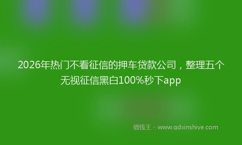 2026年热门不看征信的押车贷款公司，整理五个无视征信黑白100%秒下app