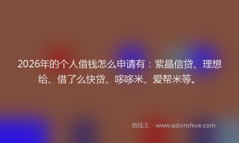 2026年的个人借钱怎么申请有：紫晶信贷、理想给、借了么快贷、哆哆米、爱帮米等。