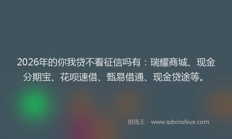 2026年的你我贷不看征信吗有：瑞耀商城、现金分期宝、花呗速借、甄易借通、现金贷途等。