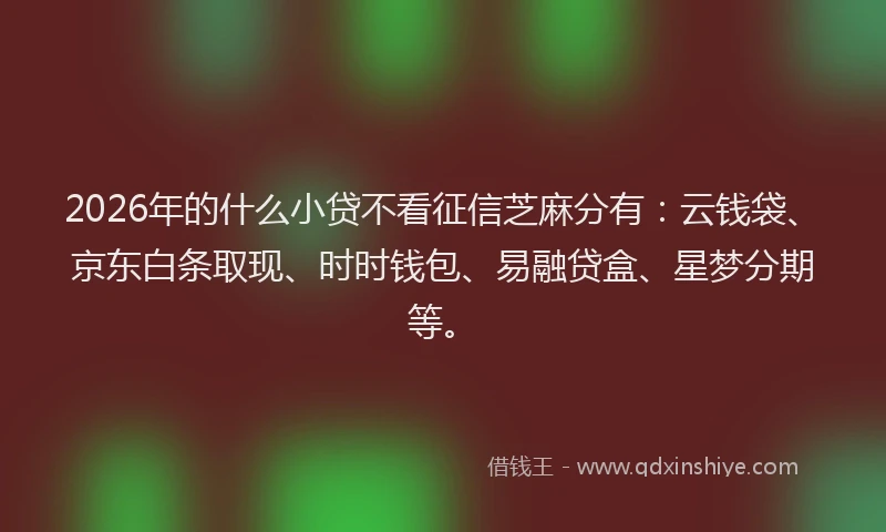 2026年的什么小贷不看征信芝麻分有：云钱袋、京东白条取现、时时钱包、易融贷盒、星梦分期等。