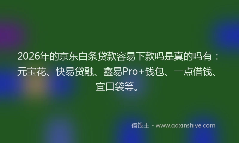2026年的京东白条贷款容易下款吗是真的吗有：元宝花、快易贷融、鑫易Pro+钱包、一点借钱、宜口袋等。