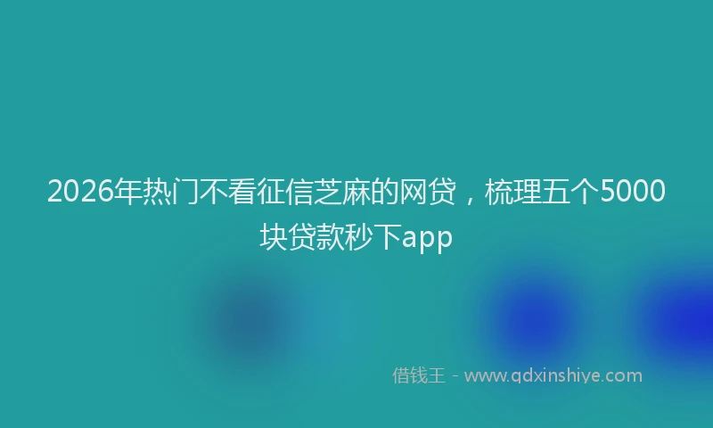 2026年热门不看征信芝麻的网贷，梳理五个5000块贷款秒下app