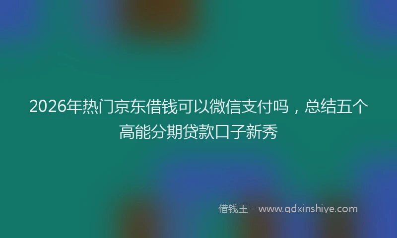 2026年热门京东借钱可以微信支付吗，总结五个高能分期贷款口子新秀