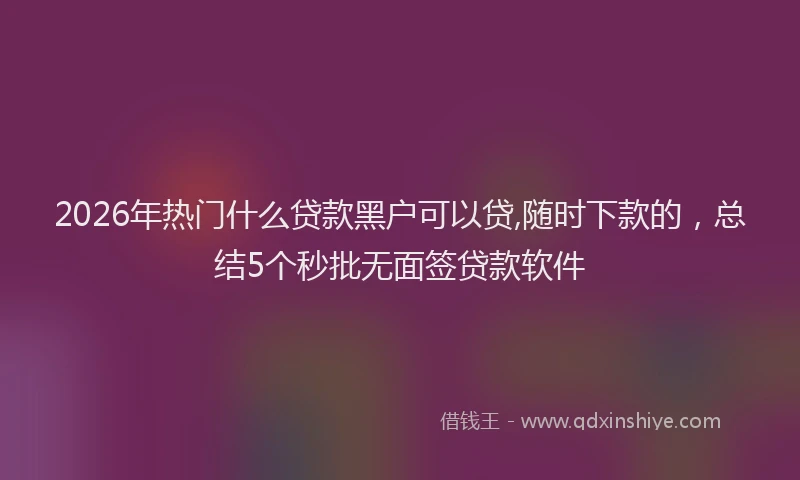 2026年热门什么贷款黑户可以贷,随时下款的，总结5个秒批无面签贷款软件