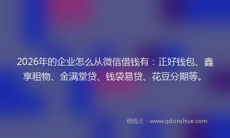 2026年的企业怎么从微信借钱有：正好钱包、鑫享租物、金满堂贷、钱袋易贷、花豆分期等。