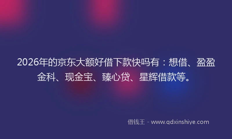 2026年的京东大额好借下款快吗有：想借、盈盈金科、现金宝、臻心贷、星辉借款等。