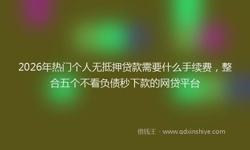 2026年热门个人无抵押贷款需要什么手续费，整合五个不看负债秒下款的网贷平台