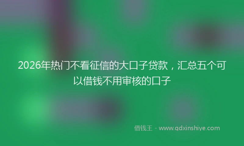 2026年热门不看征信的大口子贷款，汇总五个可以借钱不用审核的口子