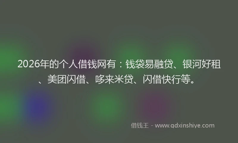 2026年的个人借钱网有：钱袋易融贷、银河好租、美团闪借、哆来米贷、闪借快行等。