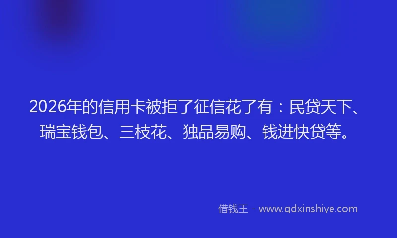 2026年的信用卡被拒了征信花了有：民贷天下、瑞宝钱包、三枝花、独品易购、钱进快贷等。