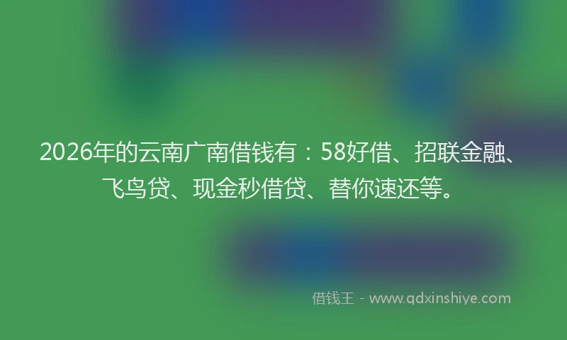 2026年的云南广南借钱有：58好借、招联金融、飞鸟贷、现金秒借贷、替你速还等。
