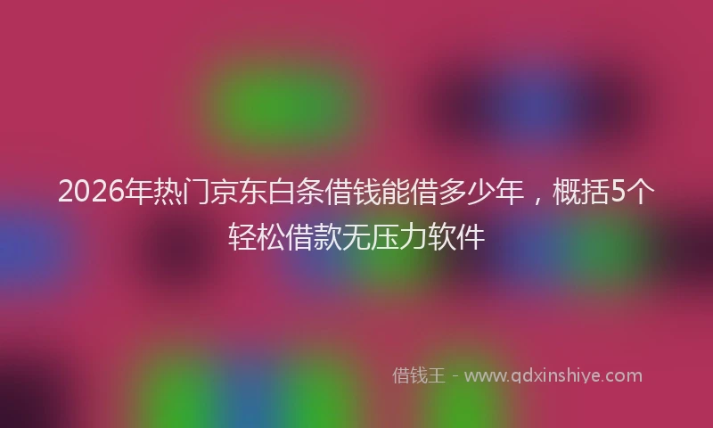 2026年热门京东白条借钱能借多少年，概括5个轻松借款无压力软件