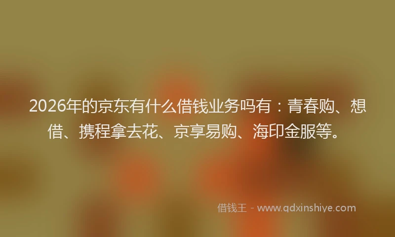 2026年的京东有什么借钱业务吗有：青春购、想借、携程拿去花、京享易购、海印金服等。