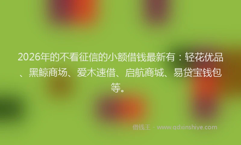2026年的不看征信的小额借钱最新有：轻花优品、黑鲸商场、爱木速借、启航商城、易贷宝钱包等。