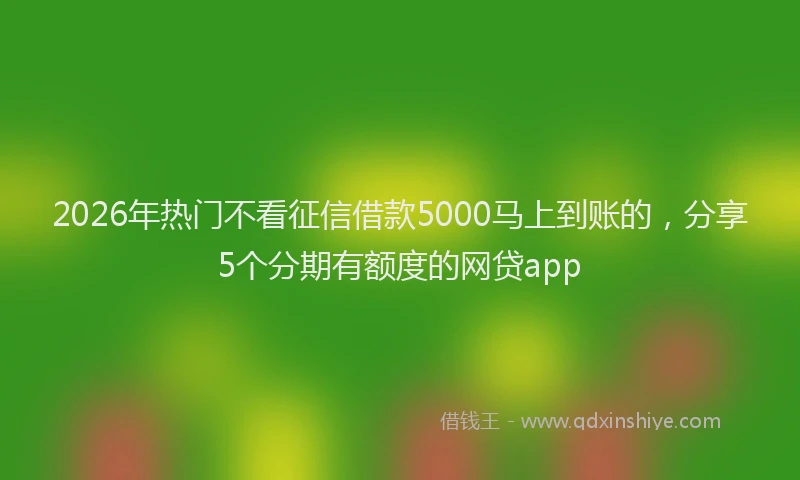 2026年热门不看征信借款5000马上到账的，分享5个分期有额度的网贷app