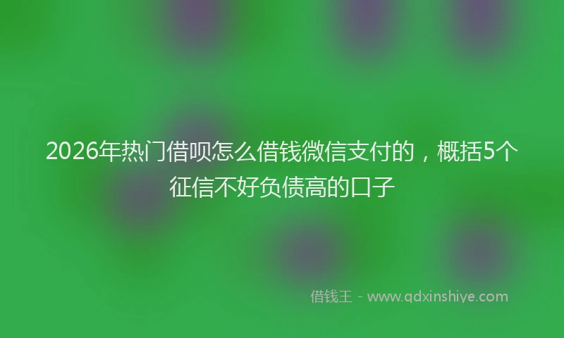2026年热门借呗怎么借钱微信支付的，概括5个征信不好负债高的口子