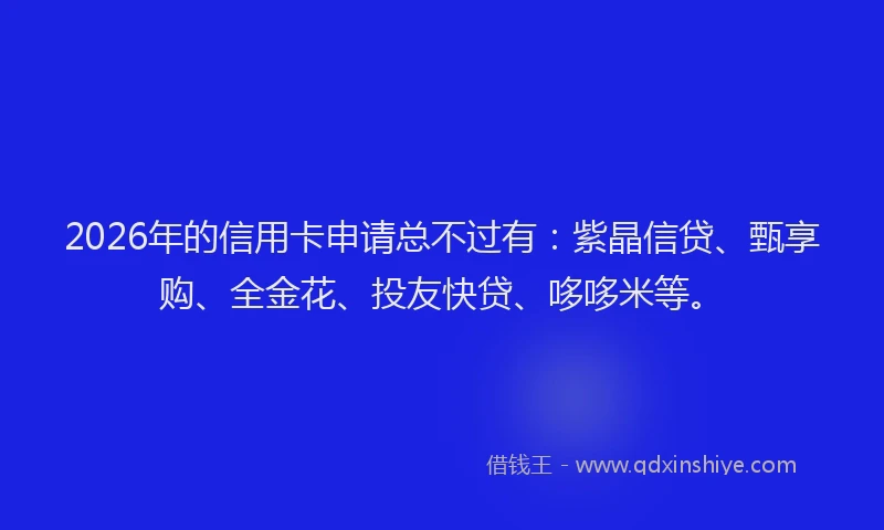2026年的信用卡申请总不过有：紫晶信贷、甄享购、全金花、投友快贷、哆哆米等。