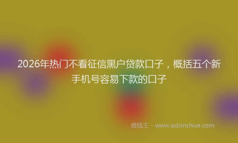 2026年热门不看征信黑户贷款口子，概括五个新手机号容易下款的口子
