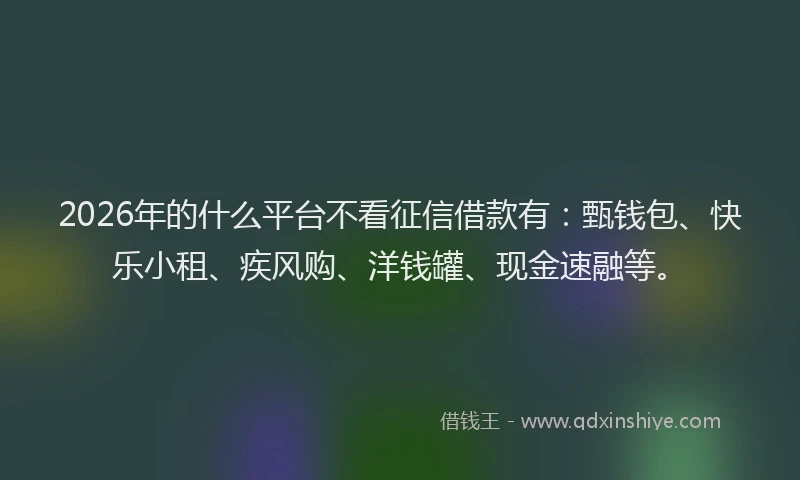 2026年的什么平台不看征信借款有：甄钱包、快乐小租、疾风购、洋钱罐、现金速融等。