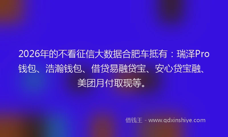 2026年的不看征信大数据合肥车抵有：瑞泽Pro钱包、浩瀚钱包、借贷易融贷宝、安心贷宝融、美团月付取现等。