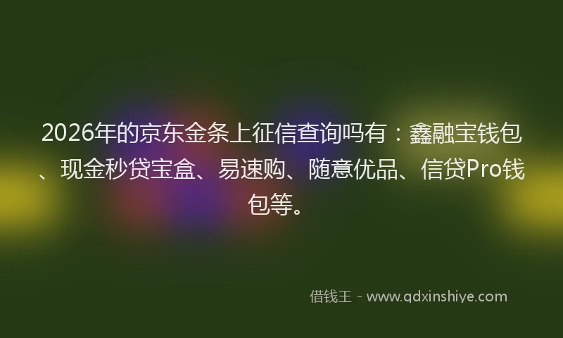2026年的京东金条上征信查询吗有：鑫融宝钱包、现金秒贷宝盒、易速购、随意优品、信贷Pro钱包等。