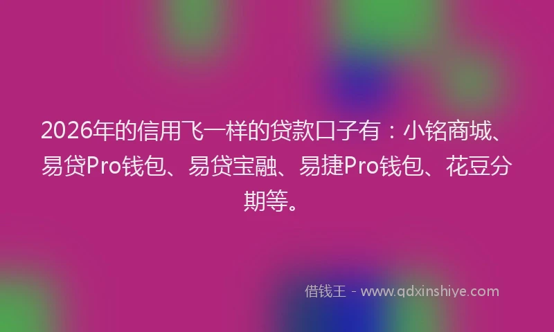 2026年的信用飞一样的贷款口子有：小铭商城、易贷Pro钱包、易贷宝融、易捷Pro钱包、花豆分期等。