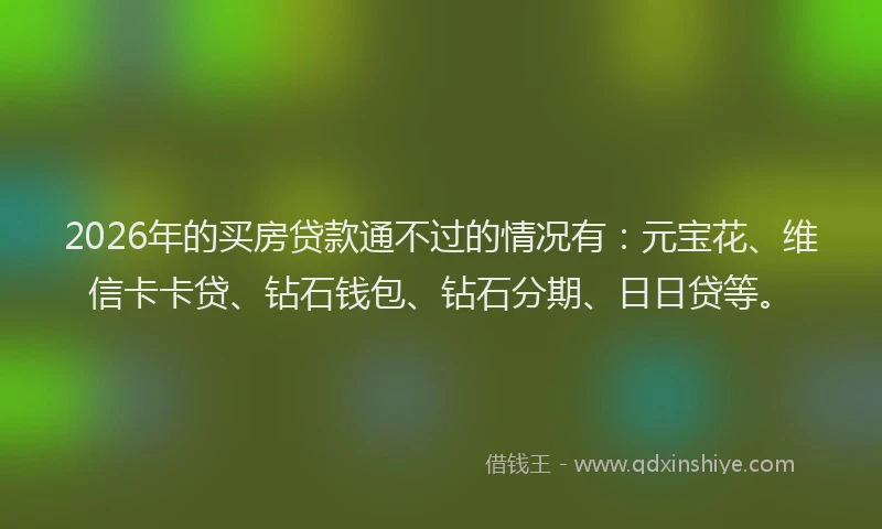 2026年的买房贷款通不过的情况有：元宝花、维信卡卡贷、钻石钱包、钻石分期、日日贷等。