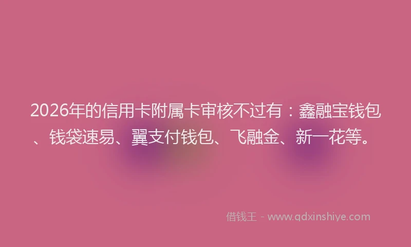 2026年的信用卡附属卡审核不过有：鑫融宝钱包、钱袋速易、翼支付钱包、飞融金、新一花等。