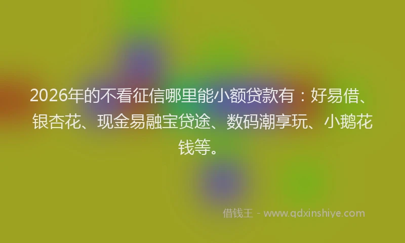 2026年的不看征信哪里能小额贷款有：好易借、银杏花、现金易融宝贷途、数码潮享玩、小鹅花钱等。