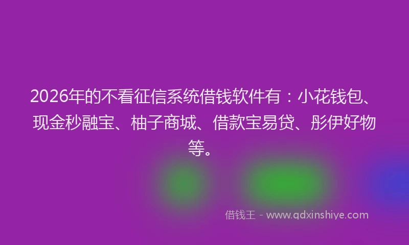 2026年的不看征信系统借钱软件有：小花钱包、现金秒融宝、柚子商城、借款宝易贷、彤伊好物等。